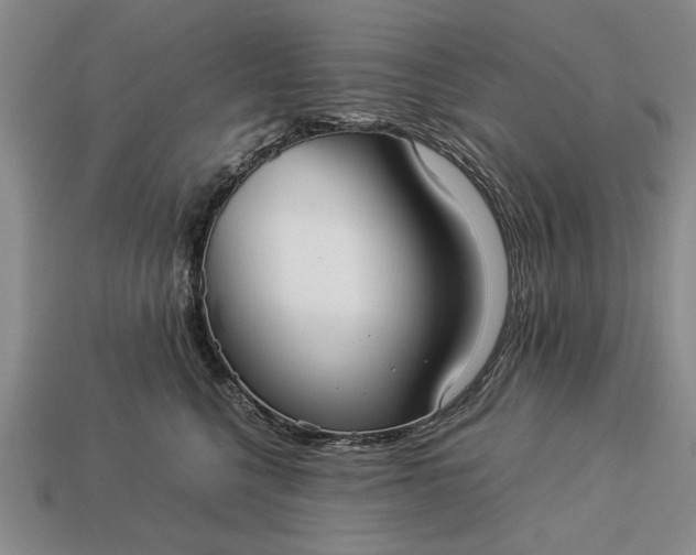 X0000113260568200909241525