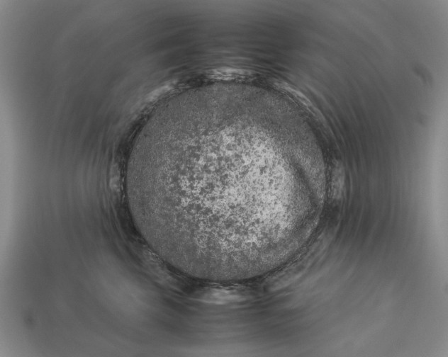 X0000113260569200909241525