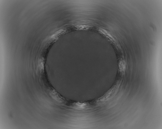 X0000113260570200909241525