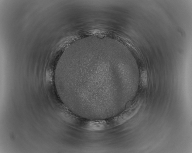 X0000113260571200909241525