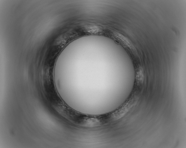 X0000113260572200909241525