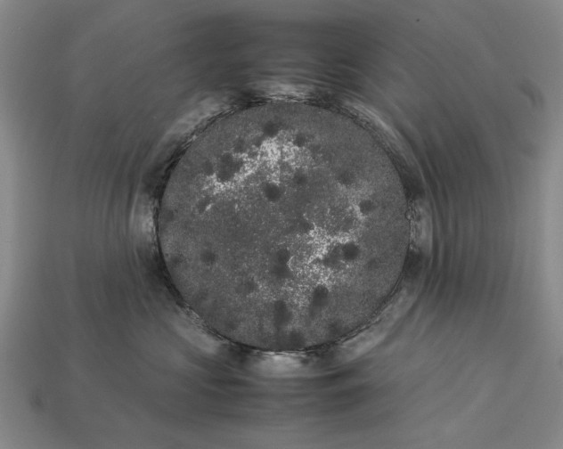 X0000113260573200909241525