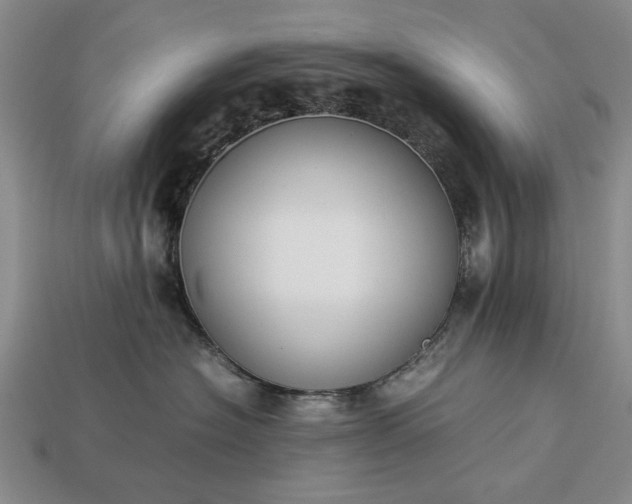 X0000113260574200909241525