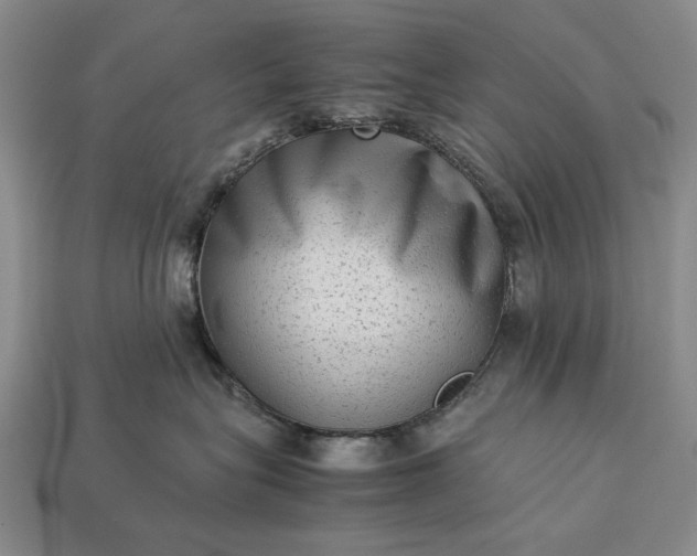 X0000113260575200909241525