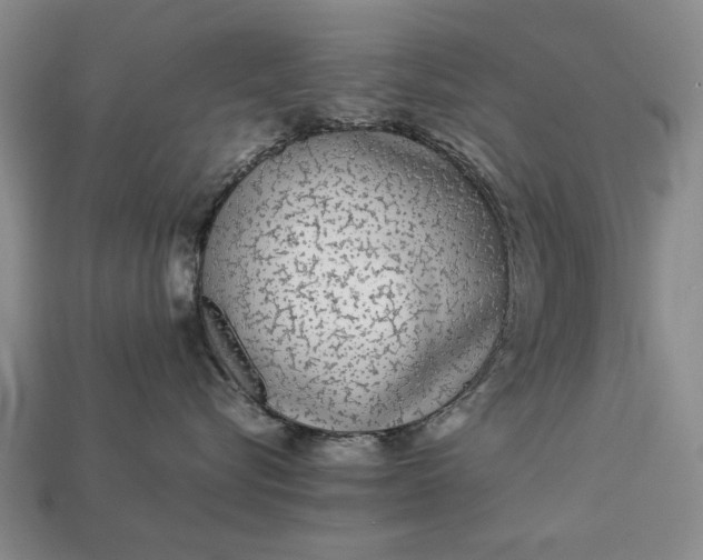 X0000113260576200909241525