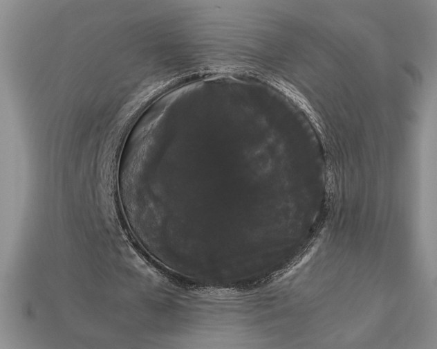 X0000113260577200909241524