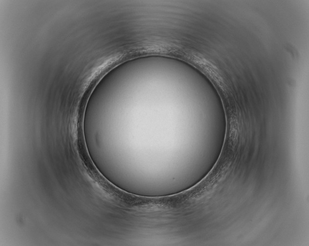 X0000113260578200909241524