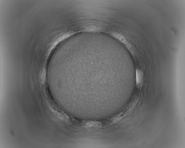 X0000113260579200909241524