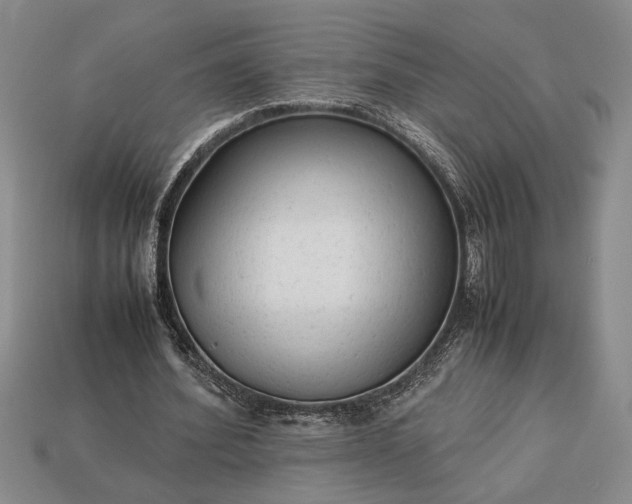 X0000113260580200909241524