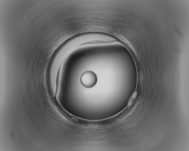 X0000113260581200909241524