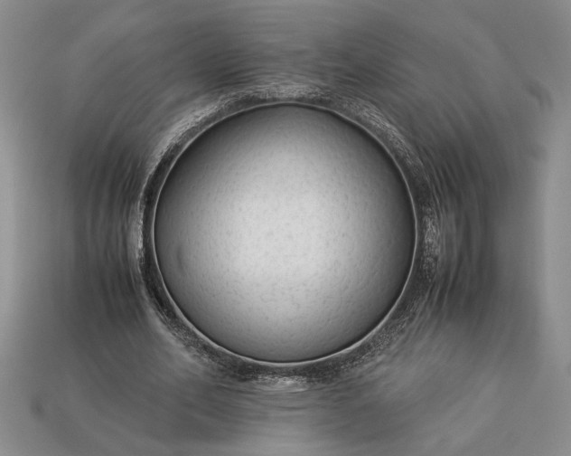 X0000113260582200909241524