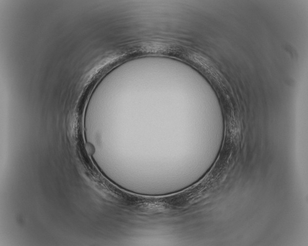 X0000113260583200909241524