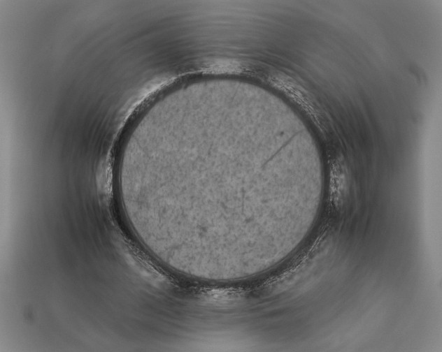 X0000113260584200909241524