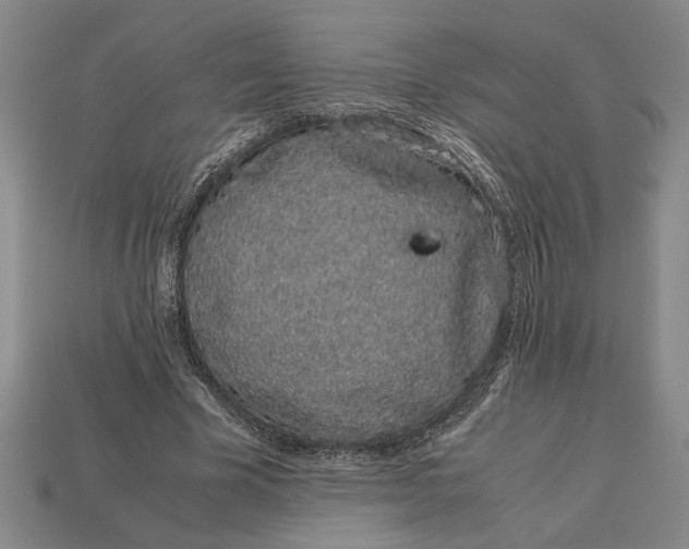 X0000113260585200909241524