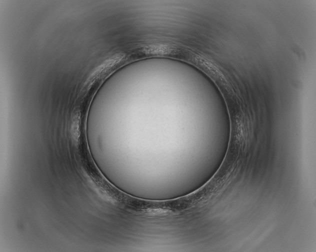 X0000113260586200909241524