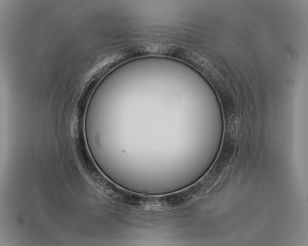 X0000113260587200909241524