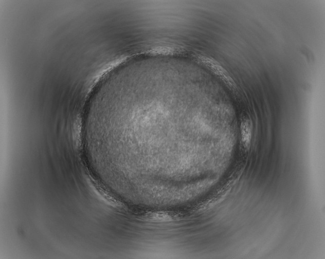 X0000113260588200909241524