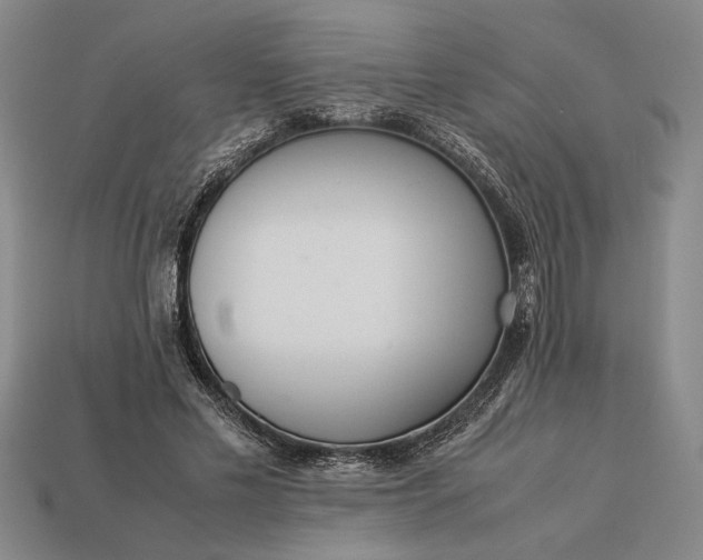 X0000113260589200909241524