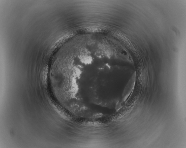 X0000113260590200909241524