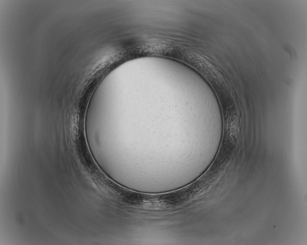 X0000113260591200909241524