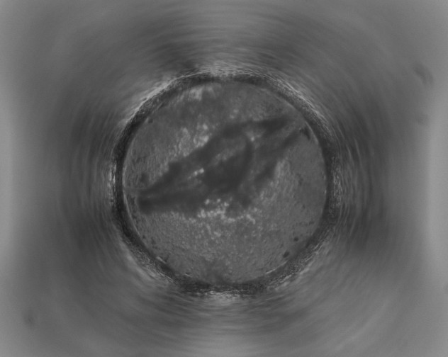 X0000113260592200909241524