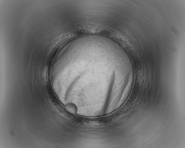 X0000113260594200909241524