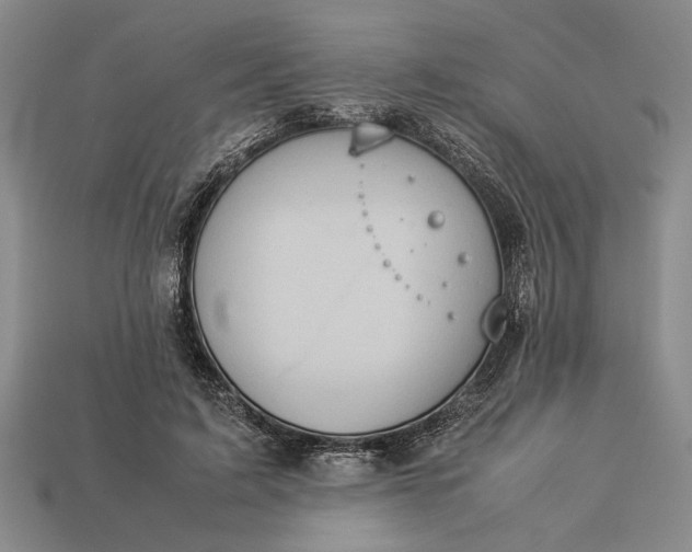 X0000113260595200909241524