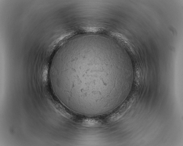 X0000113260596200909241524