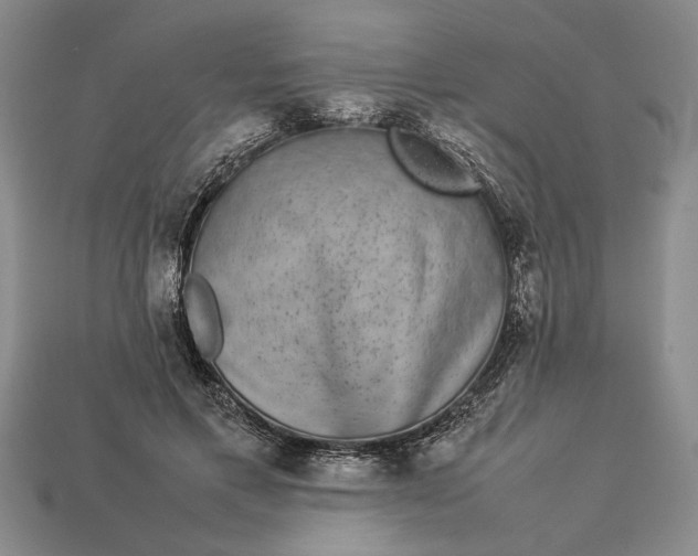 X0000113260597200909241524