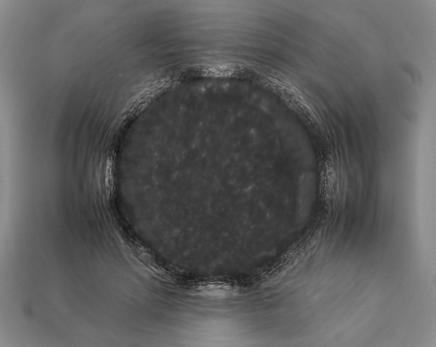 X0000113260598200909241524