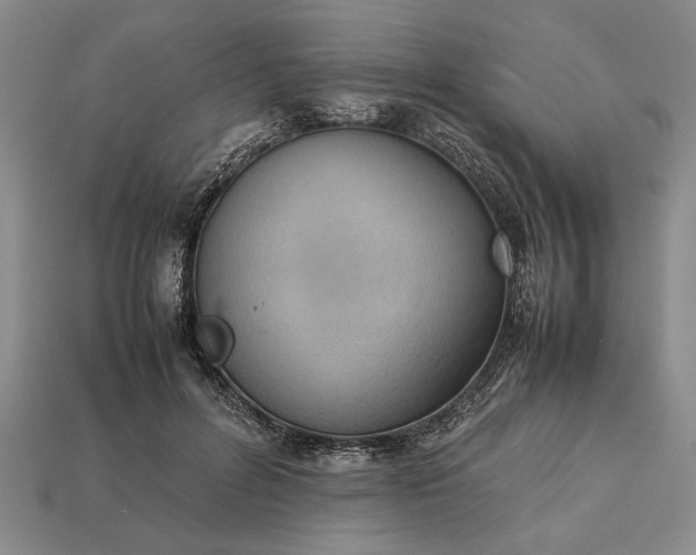 X0000113260600200909241524