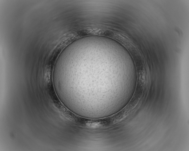 X0000113260602200909241524