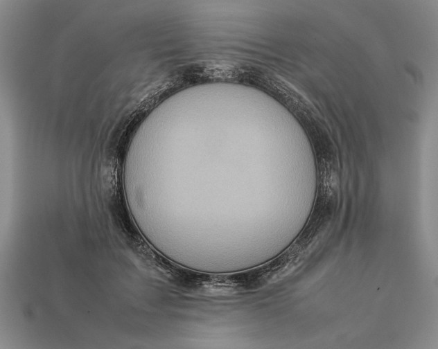 X0000113260603200909241524