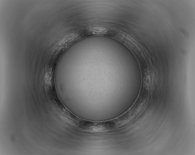 X0000113260604200909241523