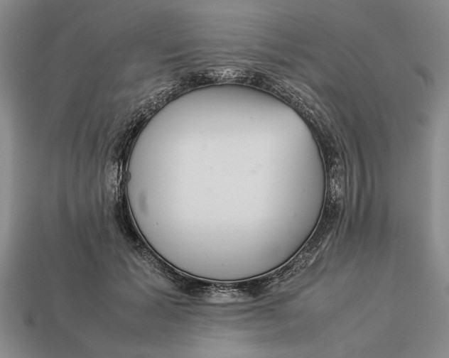 X0000113260605200909241523