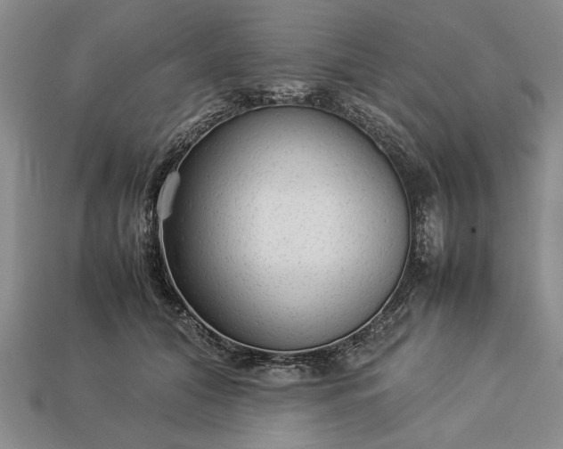 X0000113260608200909241523