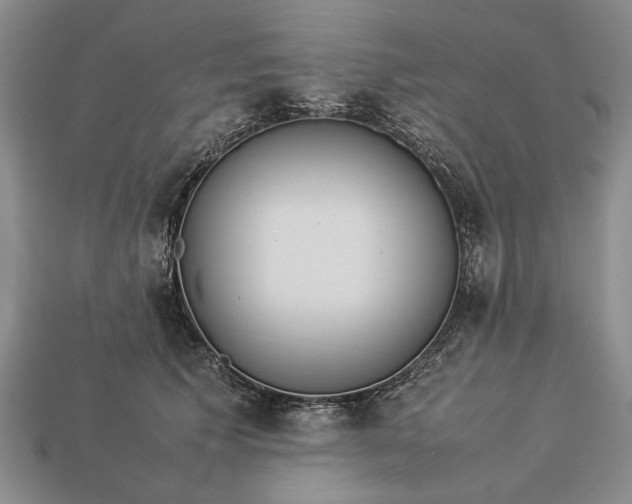 X0000113260609200909241523