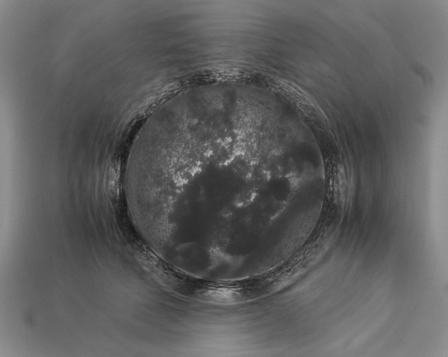 X0000113260610200909241523