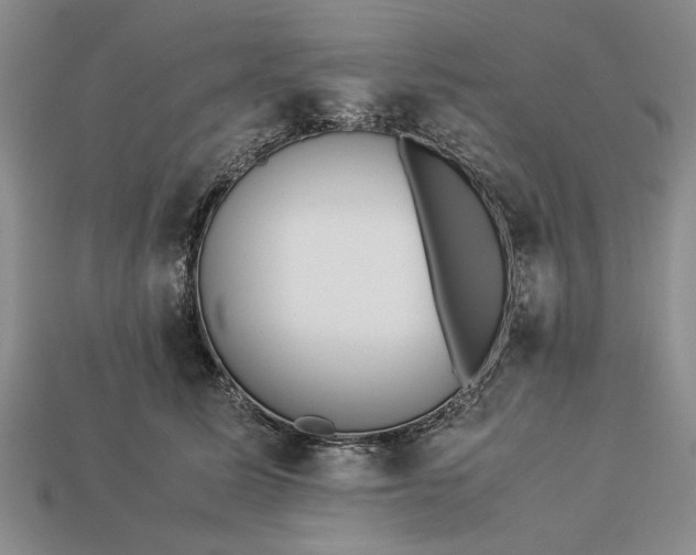 X0000113260611200909241523