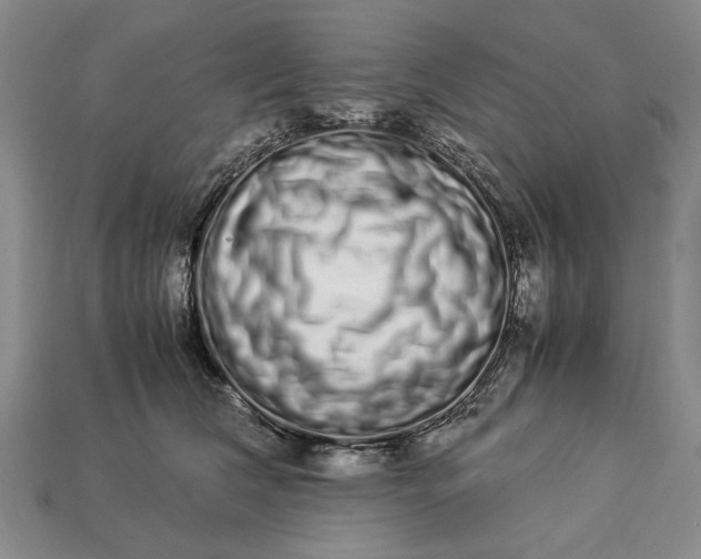 X0000113260612200909241523