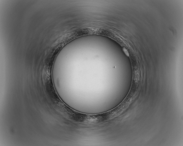 X0000113260613200909241523