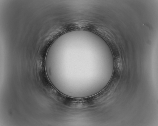 X0000113260615200909241523