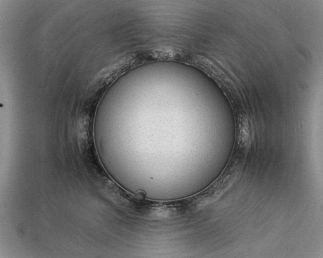 X0000113260616200909241523