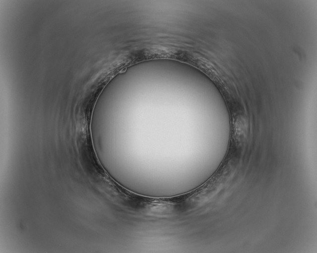 X0000113260617200909241523