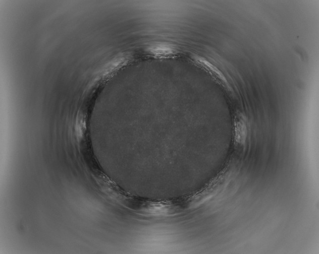 X0000113260618200909241523