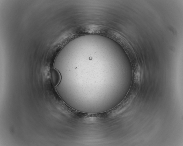 X0000113260620200909241523