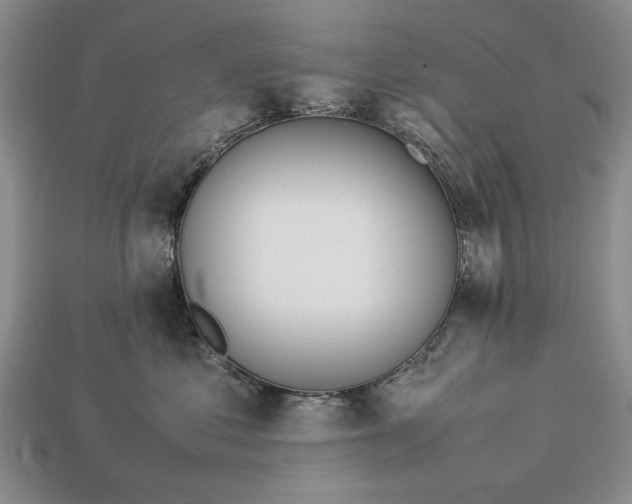 X0000113260621200909241523