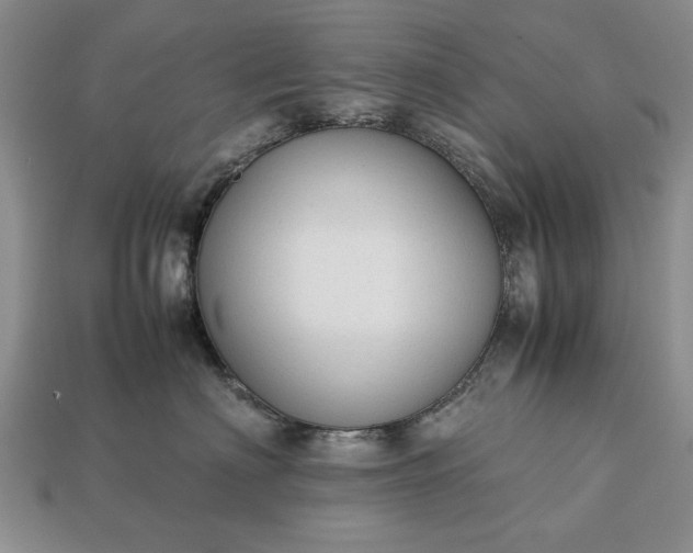 X0000113260622200909241523