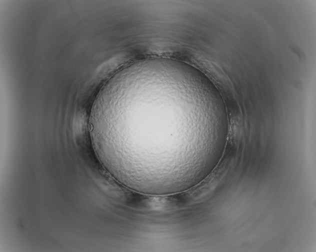 X0000113260623200909241523