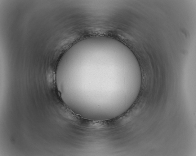 X0000113260624200909241523